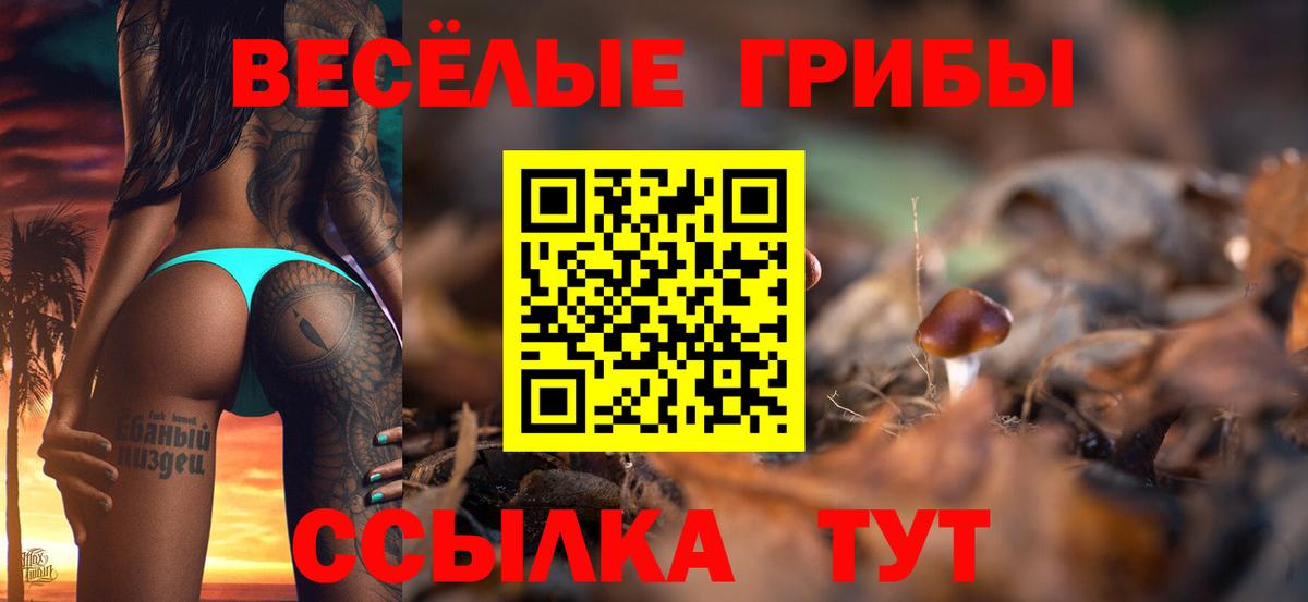 Галлюциногенные грибы MAGIC MUSHROOMS  Псилоцибиновые грибы MAGIC MUSHROOMS  где продают наркотики  Вход с VPN  Туапсе 